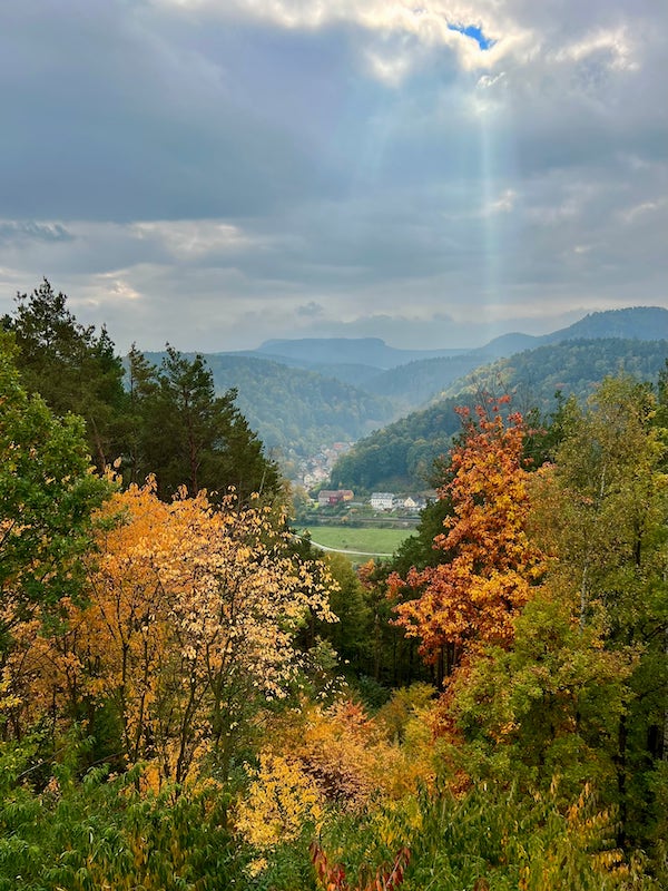 Zdjęcie: Przyroda Połabskich Gór Piaskowcowych jesienią, powiat Bad Schandau, kraj związkowy Saksonia, Niemcy