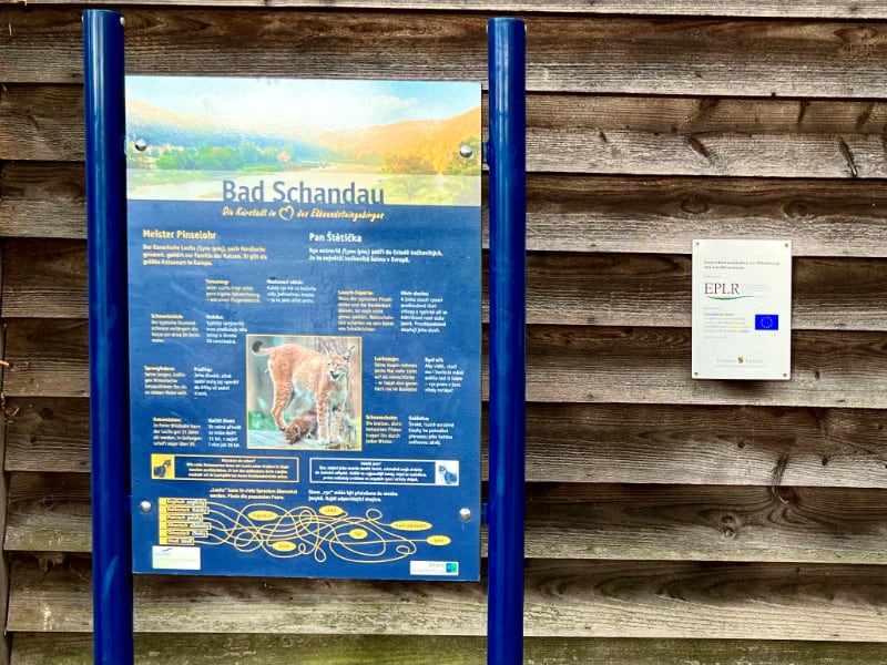 Фото: Информационный стенд возле вольера с рысями в Бад-Шандау в Саксонской Швейцарии